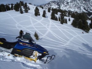 Court qualified expert witness, snowmobiles