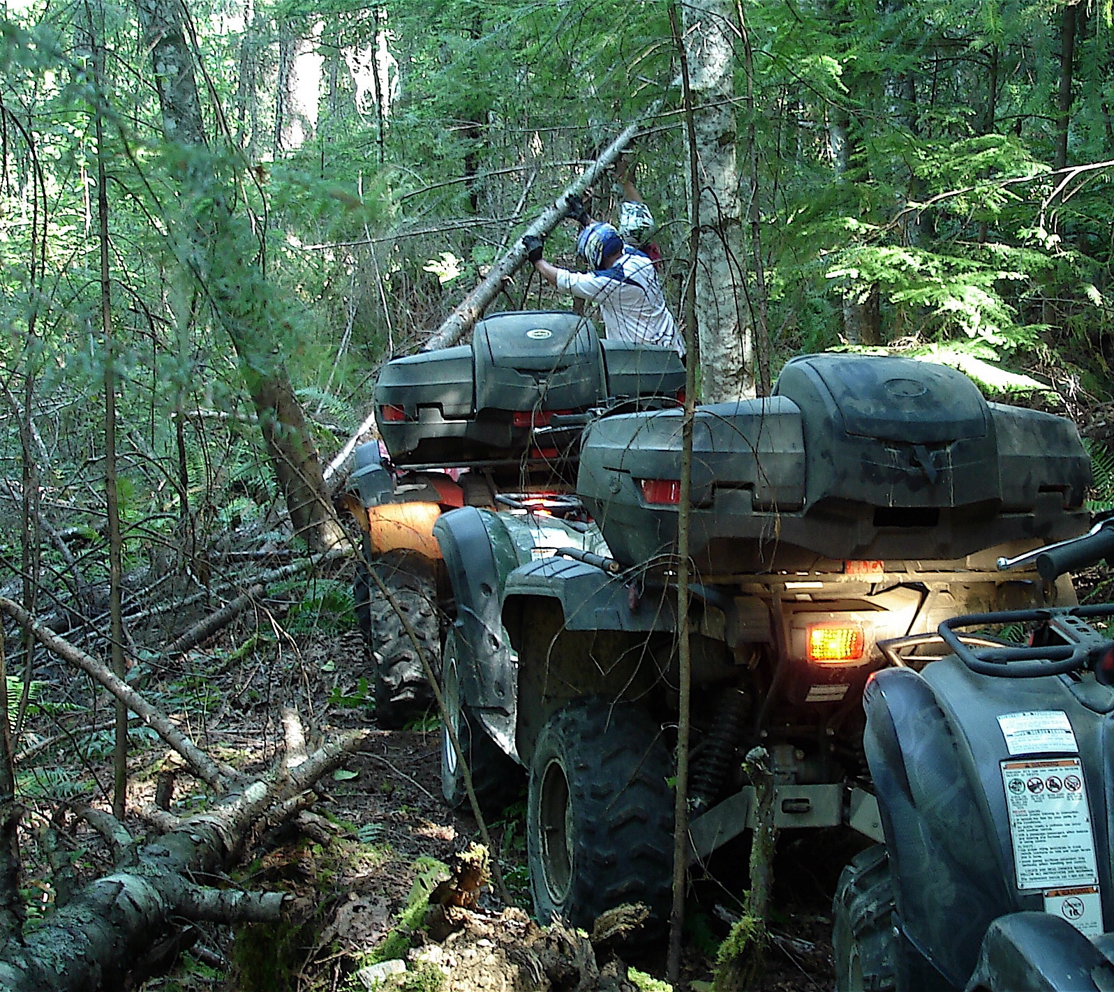 OHV Training & Expert Witness Services with Bill Uhl